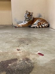 写真:12月26日ココア4