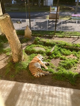 写真：10月9日ココア1