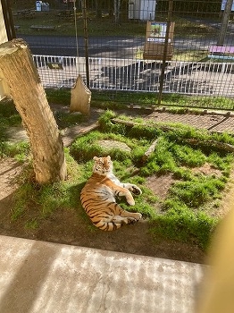 写真：10月9日ココア2