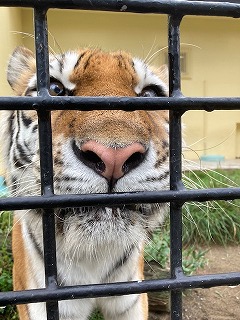 写真：8月10日ココア7