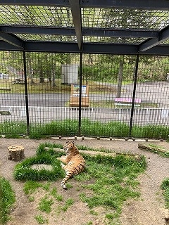 写真:6月3日ココア1