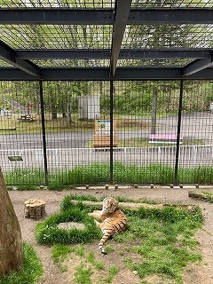 写真:6月3日ココア2