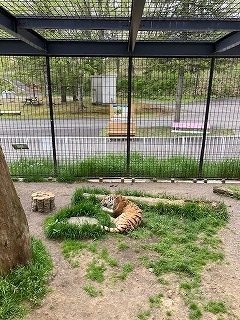 写真:6月3日ココア4