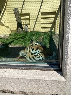写真:6月9日ココア4
