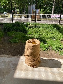 写真:おもちゃ1