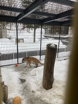 写真：3月6日ココア2