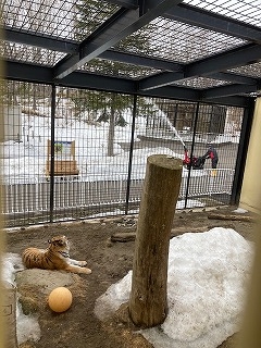 写真：ココアと除雪機