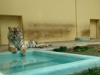 写真：5月4日ココア4