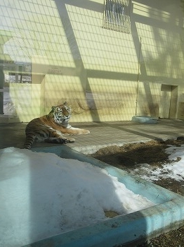 写真：3月2日ココア1