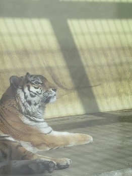 写真：3月2日ココア2