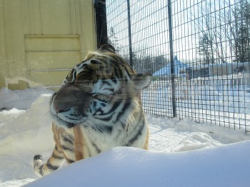 写真：1月21日ココア7