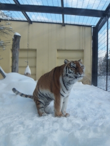 写真：1月24日ココア2