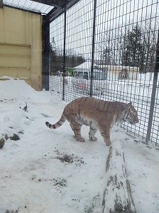 写真：12月12日ココア3