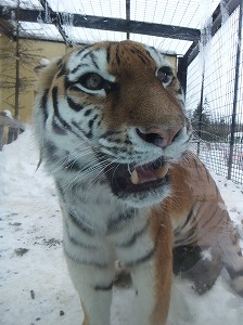 写真：12月12日ココア4