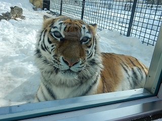 写真：2月4日ココア3