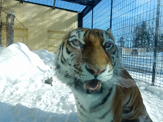 写真：2月25日ココア5