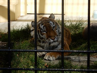 写真：10月16日ココア3