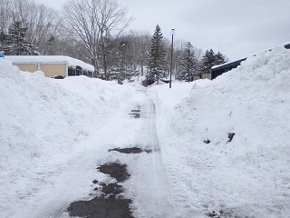 写真：雪が積もった猛獣舎前の通路