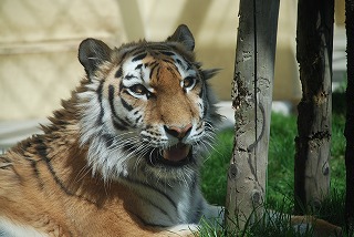 写真：5月10日ココア