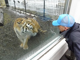 写真：4月13日ココアの様子