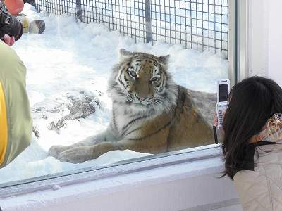 写真：雪の上のココア