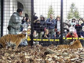 写真：たくさんのお客様