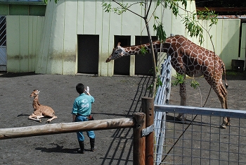 写真：赤ちゃんとコハネの対面