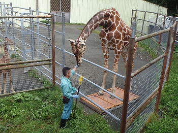 写真：スカイのトレーニングを見学