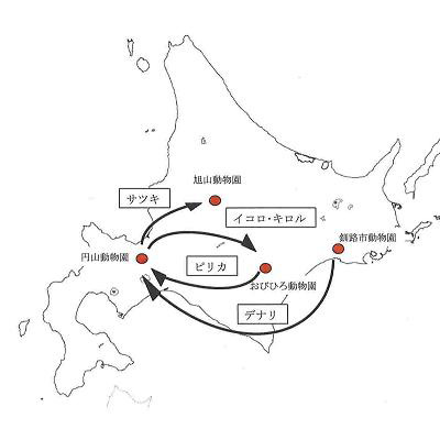 北海道におけるホッキョクグマの分布図