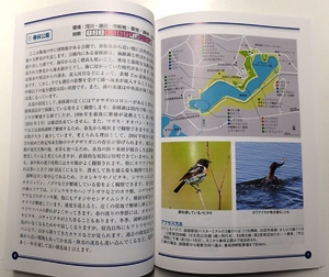 写真：釧路の野鳥と探鳥地　冊子