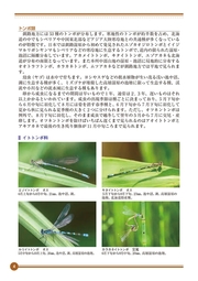 写真：釧路の昆虫　冊子