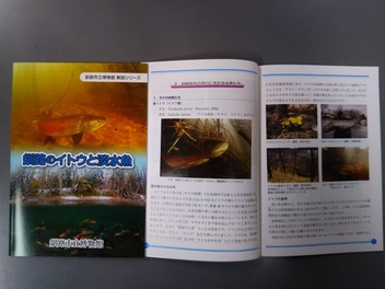 写真：釧路のイトウと淡水魚　冊子