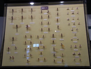 写真：釧路の昆虫の標本