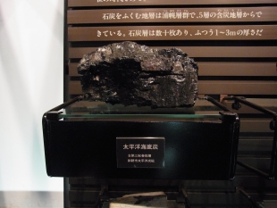 photo：Coal