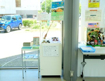 写真：こども遊学館の展示の様子