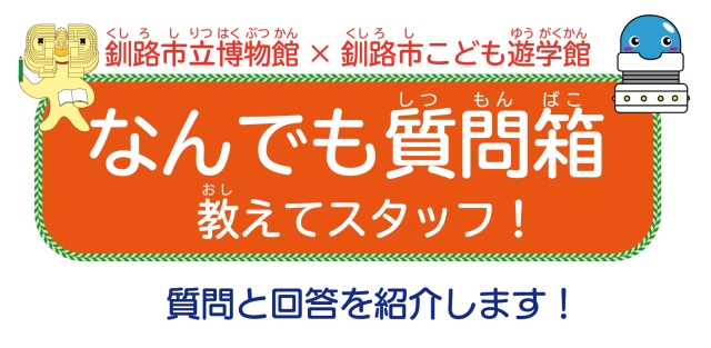 釧路市立博物館×釧路市こども遊学館　なんでも質問箱　教えてスタッフ！質問と回答を紹介します！