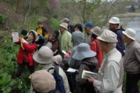 写真：草花ウオッチング（5月21日）1