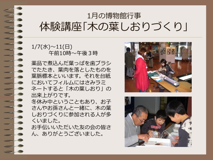 1月の博物館行事　体験講座「木の葉しおりづくり」