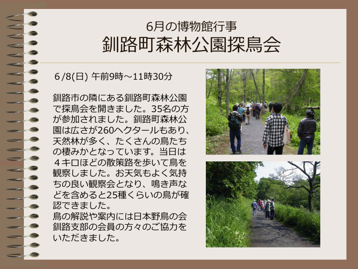 6月の博物館行事　釧路町森林公園探鳥会