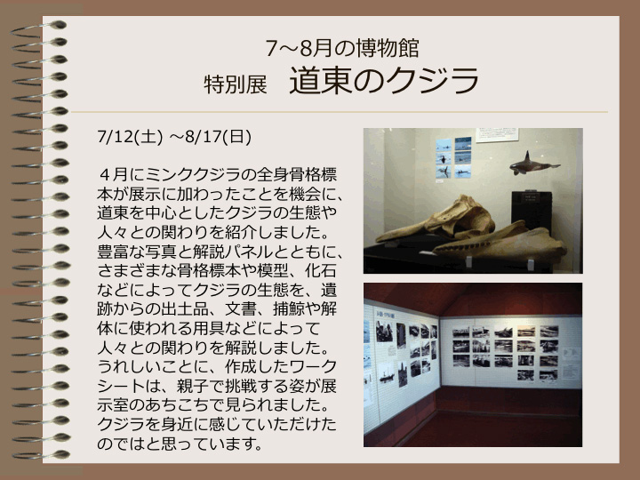 7月～8月の博物館　特別展　道東のクジラ