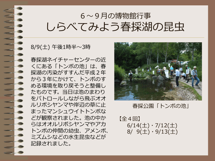 6月～9月の博物館行事　しらべてみよう春採湖の昆虫