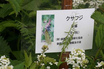 写真：花の案内看板