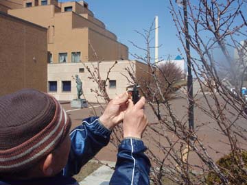 写真：観察のようす