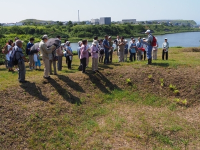 写真：遺跡探訪の様子