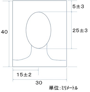 イラスト：特別永住者証明書用の写真のサイズ