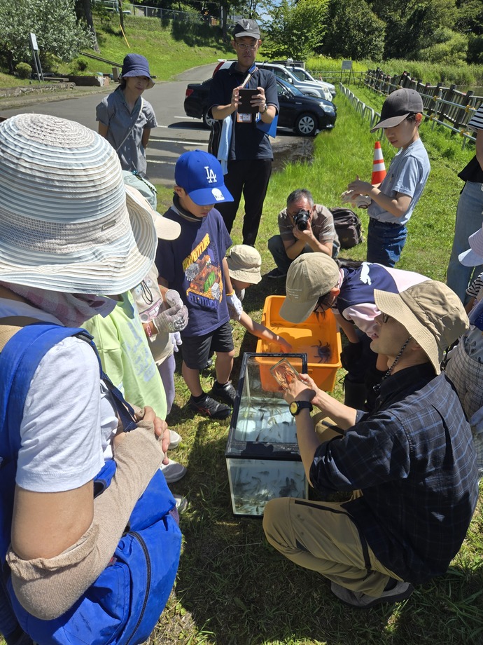 写真：「春採湖のウチダザリガニ2024」3