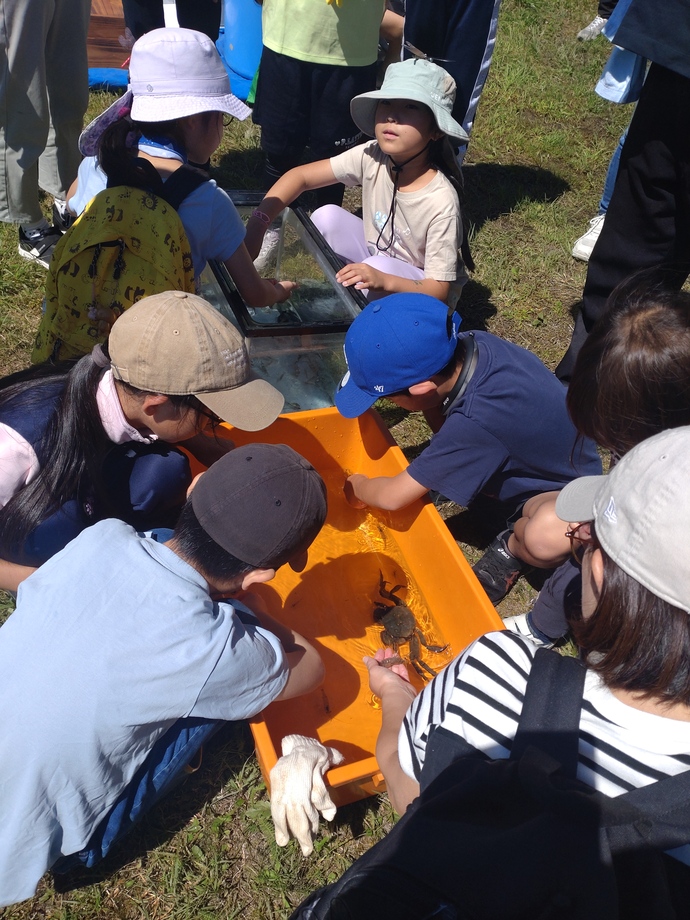 写真：「春採湖のウチダザリガニ2024」2