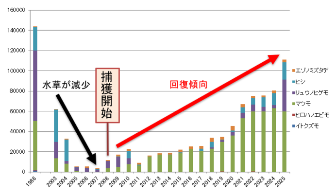 グラフ：水草の分布面積の年変動