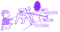 イラスト：犬は必ずつないで