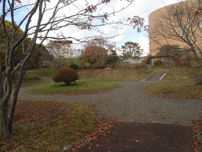 写真：野草園2